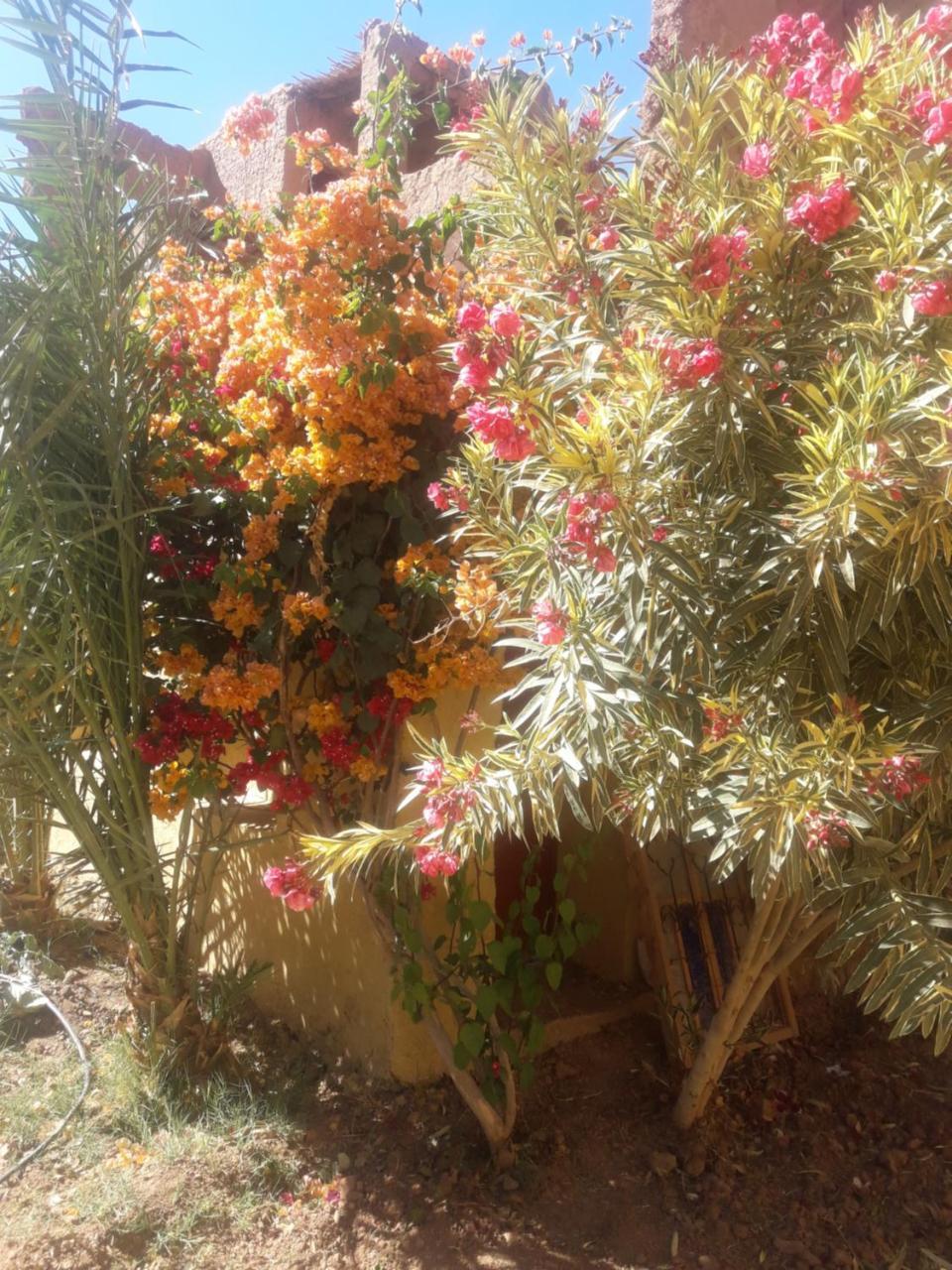 Kasbah Timidarte Hotel Zaouita Bou Lhassane Exterior photo